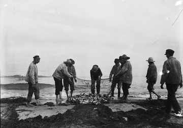 FISKERIET VED SKAGEN FØR OG NU