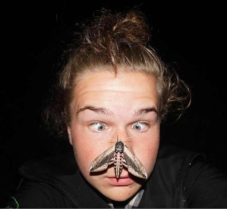 Foto af Gustav Urth, Naturtryl